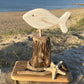 Driftwood Fish Home Decor with Starfish - Drift Craft by Jo