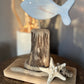 Driftwood Fish Home Decor with Starfish - Drift Craft by Jo