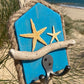 Driftwood Key Hooks - Turquoise with Starfish - Drift Craft by Jo
