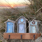 Driftwood Triple Beach Hut Hooks - Drift Craft by Jo