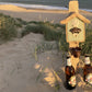Rustic Driftwood Bottle Opener - Sage with Shell - Bronze Bucket - Drift Craft by Jo